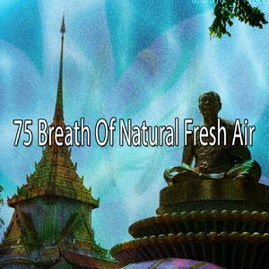 沉浸在你的靈魂中