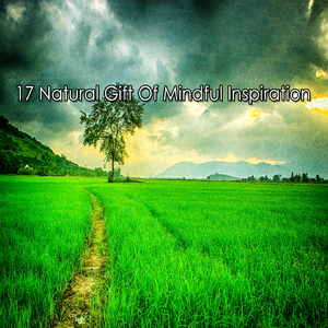 适合睡眠和放松的自然之声