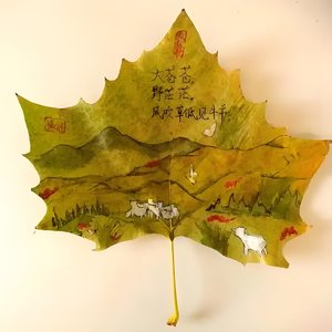 执着于我这一朵