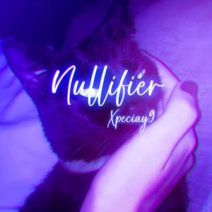 Nullifier
