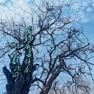 你无数次问 爱到底是什么感觉