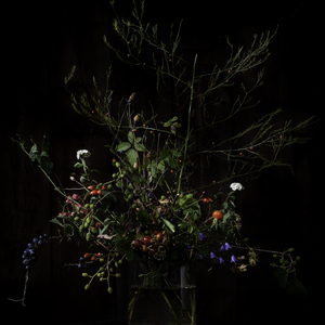 Landlost Redmoon Masterd-02