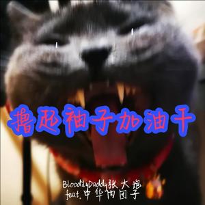 撸起袖子加油干