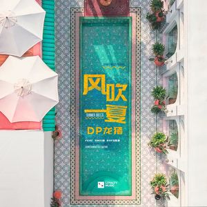 DP龙猪 - 风吹一夏 (DJ MARCO CHINA REMIX MASHUP EDIT )