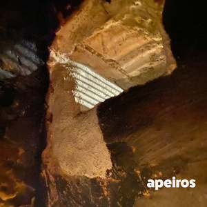 apeiros