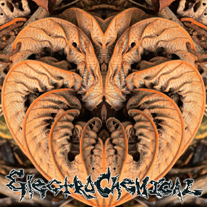 My Beautiful Squid-Lipped Fiasco