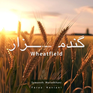 Wheatfield
