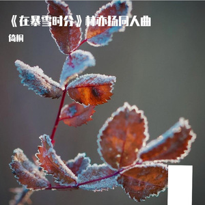 霜木