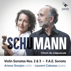 Violin Sonata No. 2 in D Minor, Op. 121: II. Sehr Lebhaft