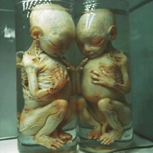 hollow.hollow.hollow