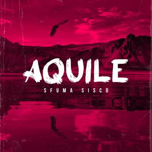 Aquile