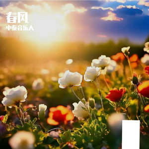 春风 (9)