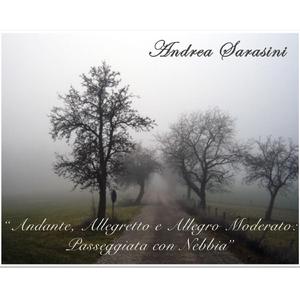 Andante, Alleggreto e Allegro Moderato: Passeggiata con Nebbia (Radio Edit)