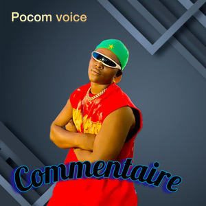 Commentaire