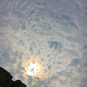 因为爱情「黄其淋（林墨）」