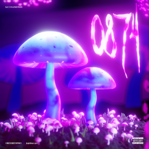 曲靖吃菌指南（街头招式beat2）