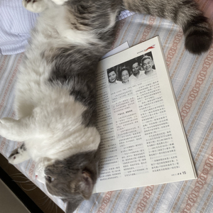 就这样吧女声(prod by CODI _JUICEE)