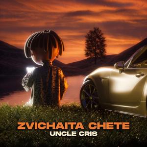 Zvichaita Chete