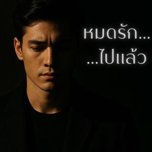 หมดรักไปแล้ว