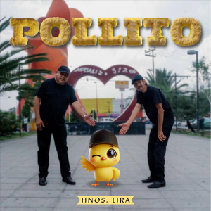 Pollito