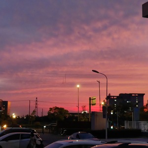 b10128f94a35d32be0e9222a0ef7faa2-1