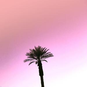 Jason Ross-Jason_Derulo_-_Take_You_Dancing_(El__Remix）（阿俊 remix）