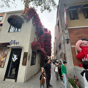 你忽视了我的一切