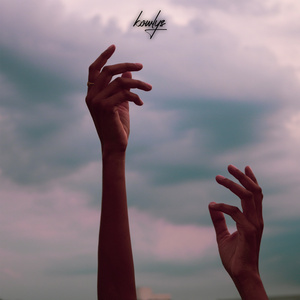 i don't wanna do it again