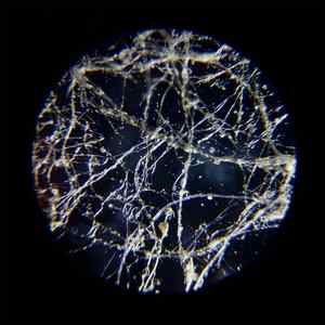 Оаза воскресіння