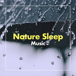Rain Dreams (Original Mix)