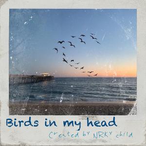 Birds in my head