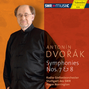 Symphony No. 7 in D Minor, Op. 70, B. 141:II. Poco adagio