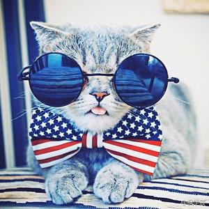 苏荷摇电音 (Mash Up)