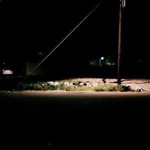 醉酒后的歌（prod.LGL）