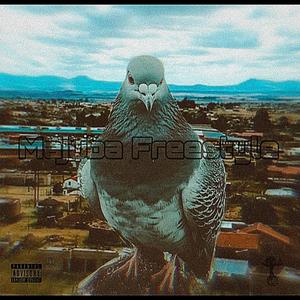 MAJUBA FREESTYLE (feat. Keedlee & Dayum)