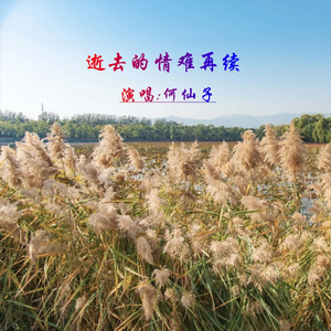 逝去的情难再续