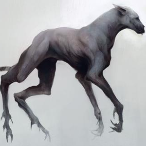 Greyhound