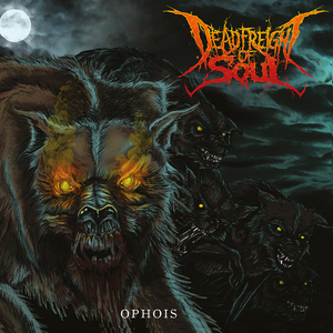 In the Dead of Night