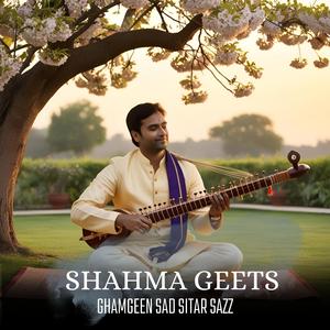 Ghamgeen Sad Sitar Sazz