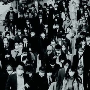 大多数 （prod.tired）