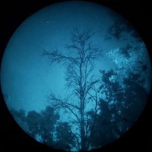 Ne zhurys (ukr jazz, duduk)