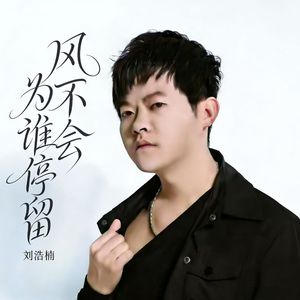 风不会为谁停留DJ版