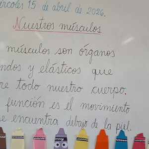 movimiento