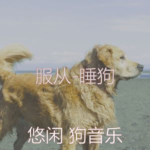 服从-狗午睡