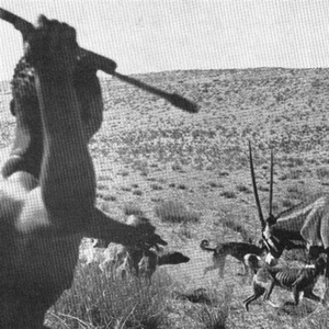 I'll Ram My Ovopositor Down Your Throat and Lay Eggs in Your Chest But, I'm Not an Alien