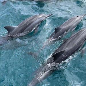 Contigo hasta el final