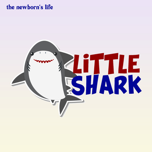 Little Shark