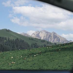 郭源潮（吉他版）