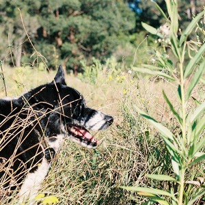 Boogie Board Muck Around