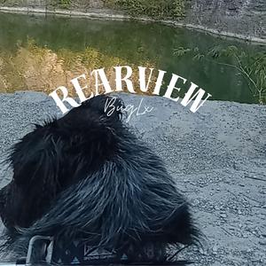 RearView